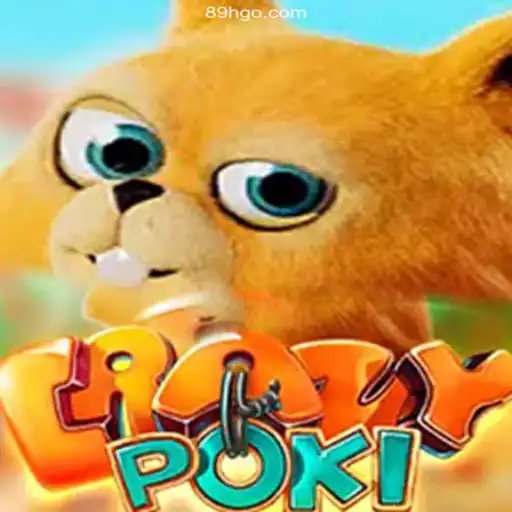 Exploring CrazyPoki: The Thrilling New Game and Its Unique Platform