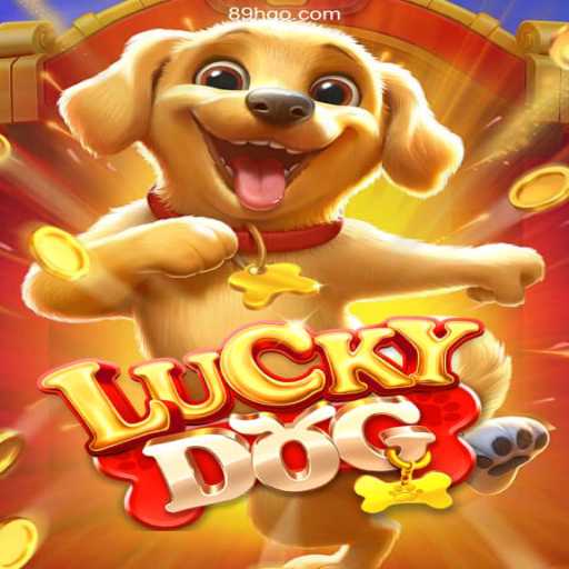 Exploring LuckyDog: The Premier Betting Game in Brazil