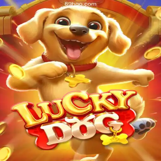 Exploring LuckyDog: The Premier Betting Game in Brazil